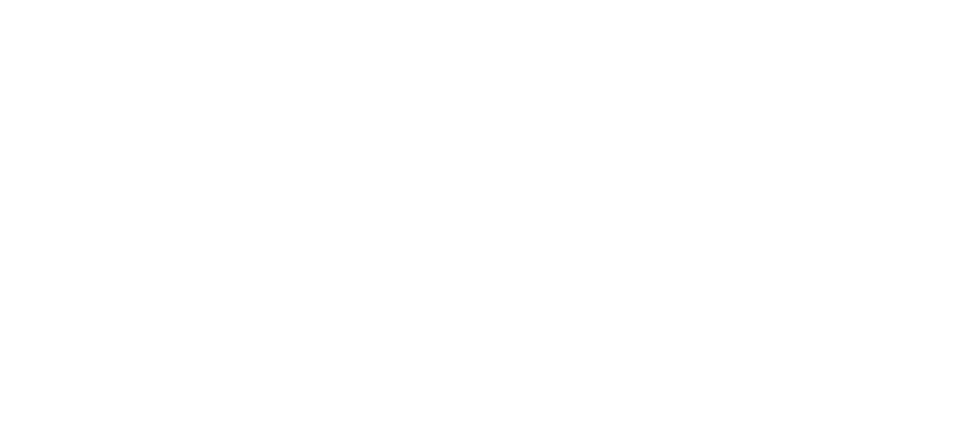 Lanza AV | Security